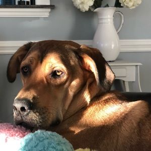 Meet your Posher, Linda